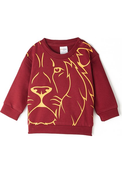 Galatasaray Bebek Sweatshirt B232128