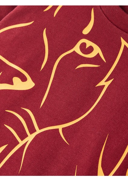 Galatasaray Bebek Sweatshirt B232128
