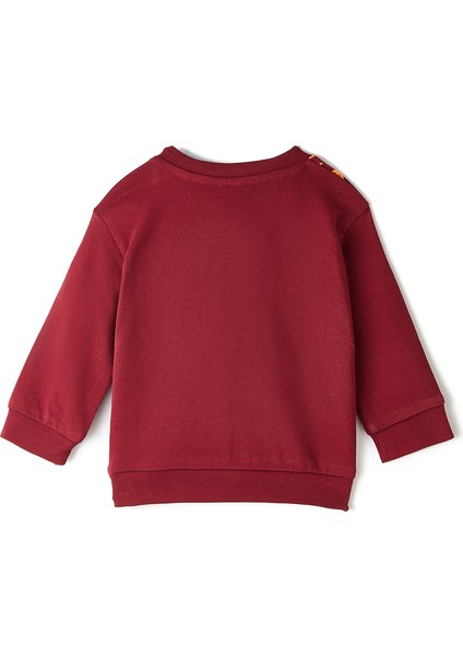 Galatasaray Bebek Sweatshirt B232128