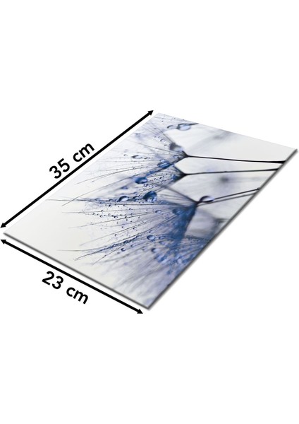 Mavi Karahindiba Cam Kesme Tahtası, Silikon Ayaklı, Sunum Kesim Doğrama Tablası, Temperli ve Rodajlı fiyatları