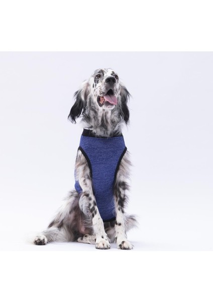 Lacivert Travel Büyük Köpek Tişörtü - Köpek Kıyafeti (15 Kg-45 Kg) fiyatları