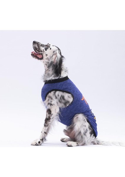 Lacivert Travel Büyük Köpek Tişörtü - Köpek Kıyafeti (15 Kg-45 Kg) modelleri