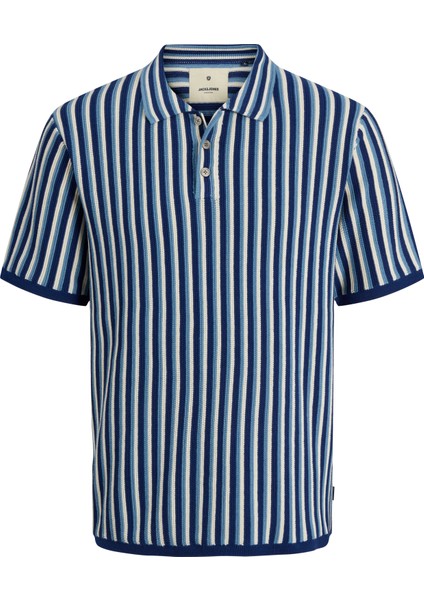 Erkek Çizgili Polo Yaka Tisört - Blujones