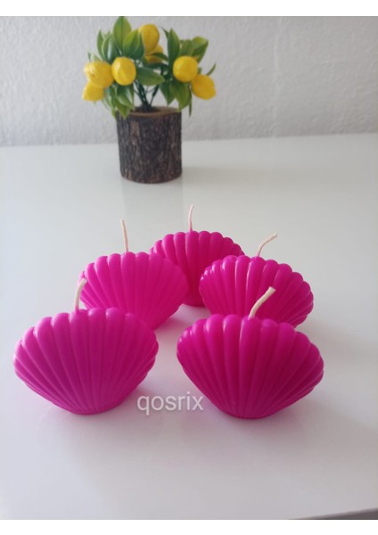 5'li Pembe Fuşya Mini Istiridye Deniz Kabuğu 1. Kalite Doğal Kokulu Mum Dekoratif