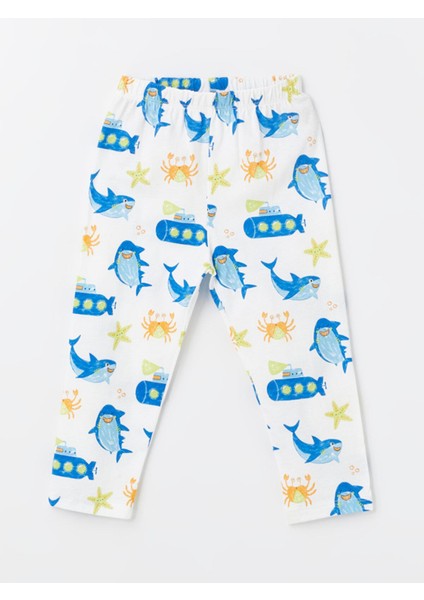 Gpj,nolter modelleri