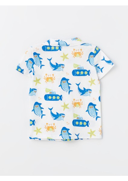 Gpj,nolter fırsatları