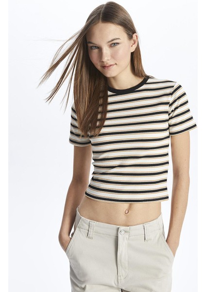 Xsıde Bisiklet Yaka Çizgili Kısa Kollu Kadın Crop fiyatları