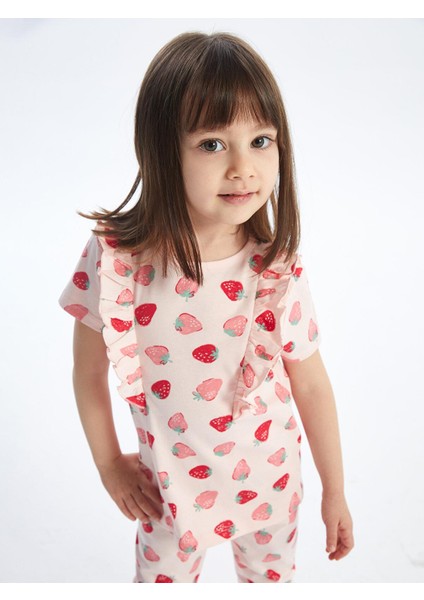 Gpj,norpaf fiyatları