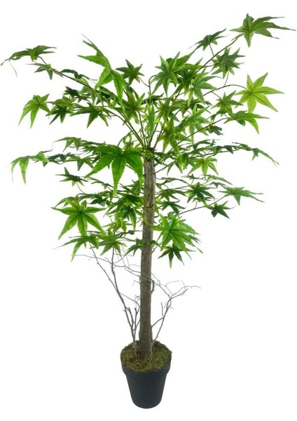 Yapay Ağaç Yeşil Japon Akçaağacı 100X70CM Siyah Plastik Saksılı