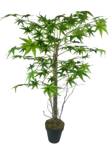 Yapay Ağaç Yeşil Japon Akçaağacı 100X70CM Siyah Plastik Saksılı