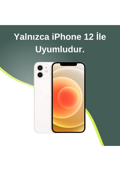 Paladyum Case iPhone 12 Uyumlu Gold Detaylı Çizgili Beyaz Baklava Dilimli Puf Kılıf