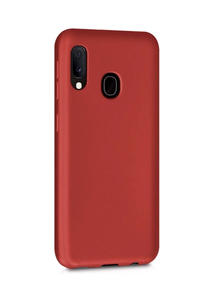 Samsung Galaxy A20 Uyumlu Kılıf Kamera Korumalı Silikon Zore Biye Arka Kapak