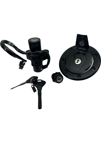 Bajaj Pulsar N 250 Kontak Seti