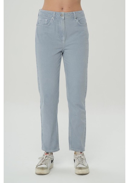 Ariana Gri-Mavi Yüksek Bel Patı Fermuarlı Mom Jean Pantolon C 4525-139 fiyatları