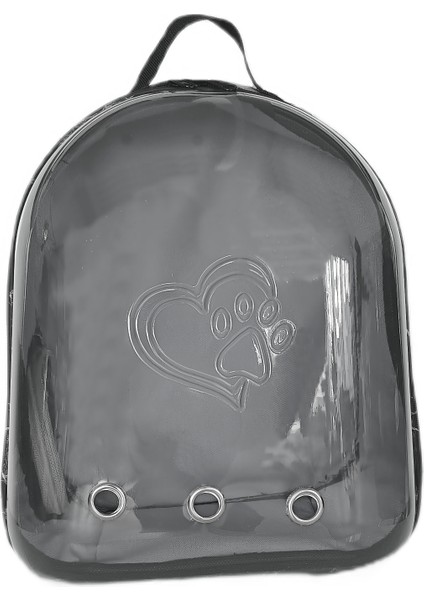 CLZ205 Kalpli Patili Astronot Şeffaf Taşıma Sırt Çantası Gri 24X32X42 cm modelleri