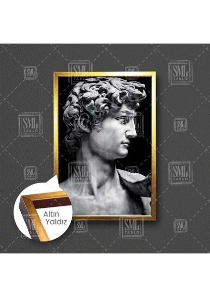Michelangelo Davud Heykeli Kafası Davut David Statues Heykel Taş Dekor Çerçeveli Dikey Kanvas Tablo