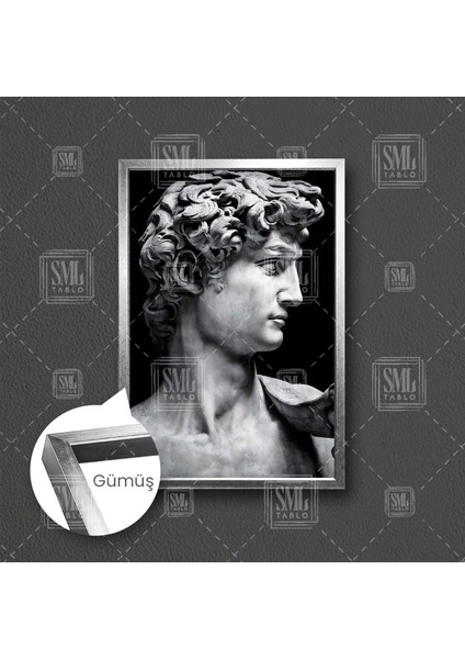 Michelangelo Davud Heykeli Kafası Davut David Statues Heykel Taş Dekor Çerçeveli Dikey Kanvas Tablo