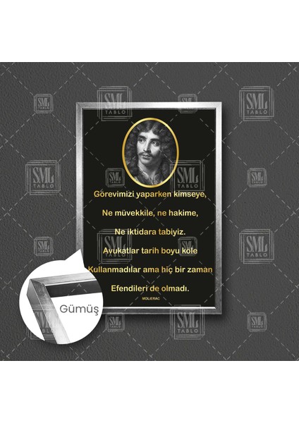 Avukat Hakim Savcı Hukuk Büro Ofis Adalet Sözleri Molierac Çerçeveli Dikey Kanvas Tablo fırsatları