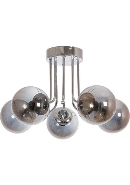 Daisy Modern Renk Globe Camlı Salon - Mutfak - Yatak Odası 5 Li Avize