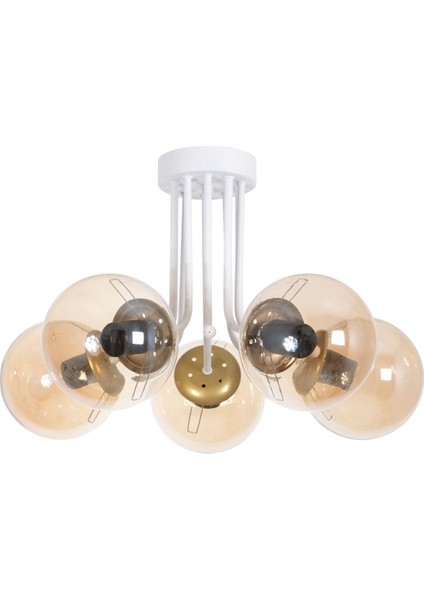 Daisy Modern Renk Globe Camlı Salon - Mutfak - Yatak Odası 5 Li Avize