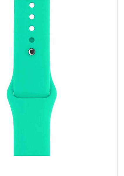 Watch 42MM Uyumlu Klasik Kordon Zore NO37