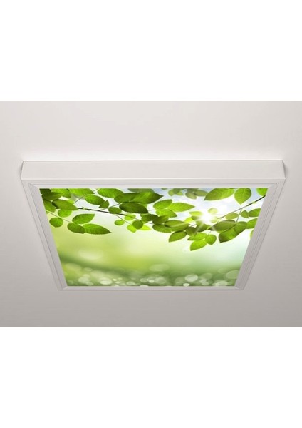 60X60 LED Panel Aydınlatma Armatür Avize Sıva Üstü Desenli Tekli 46510462SU