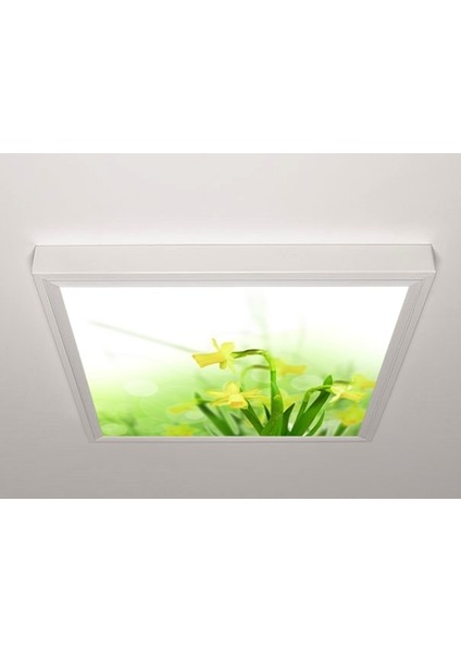 60X60 LED Panel Aydınlatma Armatür Avize Sıva Üstü Desenli Tekli 46510613SU