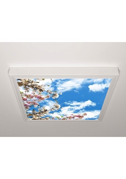 60X60 LED Panel Aydınlatma Armatür Avize Sıva Üstü Desenli Tekli 46510453SU