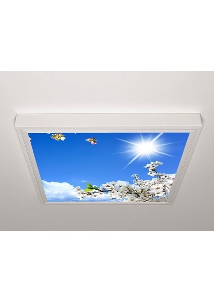 60X60 LED Panel Aydınlatma Armatür Avize Sıva Üstü Desenli Tekli 46510426SU