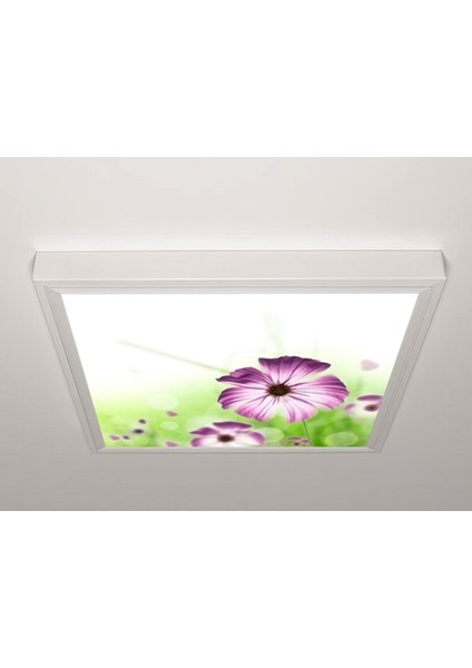 60X60 LED Panel Aydınlatma Armatür Avize Sıva Üstü Desenli Tekli 46510597SU