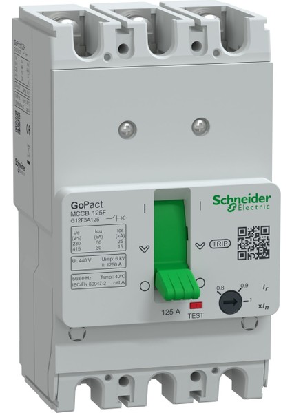 G12F3A125 3X125A 30KA Ayar Sahalı Şalter
