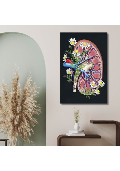 Tekli Dikey Kanvas Nefroloji Poliklinik Tablosu Çiçekli Böbrek