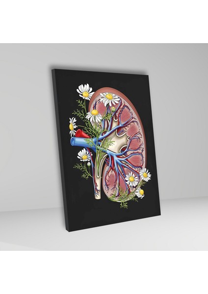 Tekli Dikey Kanvas Nefroloji Poliklinik Tablosu Çiçekli Böbrek fiyatları