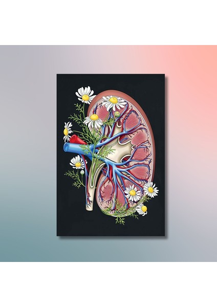 Tekli Dikey Kanvas Nefroloji Poliklinik Tablosu Çiçekli Böbrek modelleri