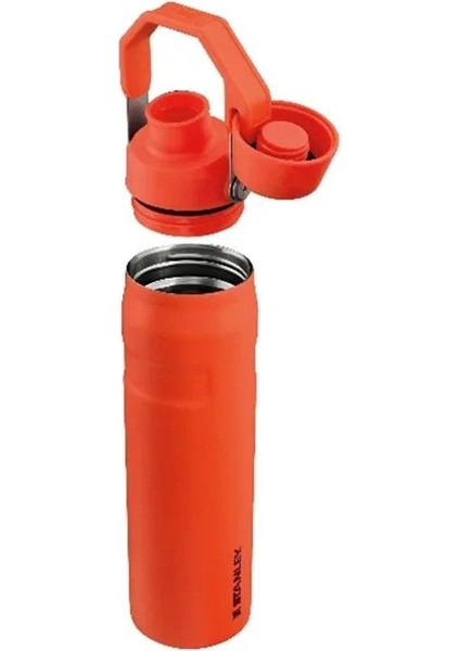 The Aerolight Iceflow Soğuk Su Termosu 0,60 Lt (20 Oz) - Tigerlily