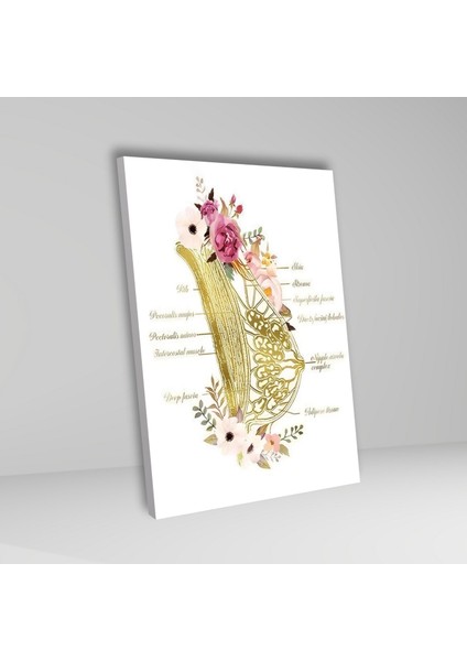 Tekli Dikey Kanvas Jinekoloji Poliklinik Tablosu Meme Dokusu fiyatları