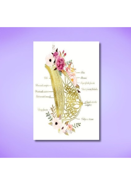 Tekli Dikey Kanvas Jinekoloji Poliklinik Tablosu Meme Dokusu modelleri