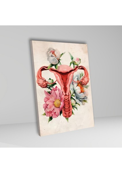 Tekli Dikey Kanvas Kadın Doğum Poliklinik Tablosu Soft Uterus fiyatları