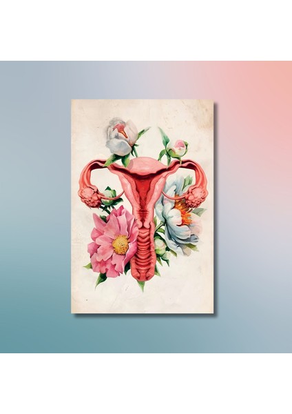 Tekli Dikey Kanvas Kadın Doğum Poliklinik Tablosu Soft Uterus modelleri