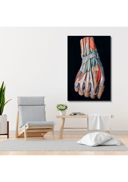 Tekli Dikey Kanvas Mikro Cerrahi Poliklinik Tablosu El Sinirleri