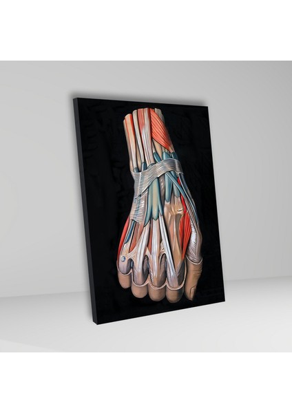 Tekli Dikey Kanvas Mikro Cerrahi Poliklinik Tablosu El Sinirleri fiyatları