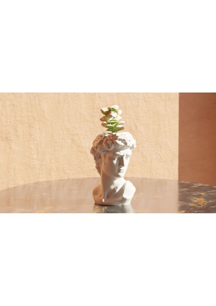 David Michelangelo Büst Saksı