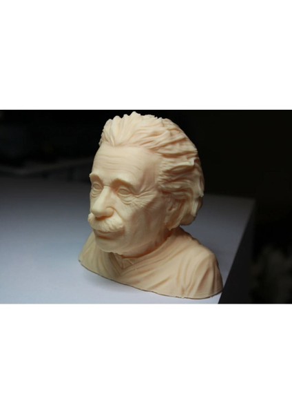 Albert Einstein Büstü (10 Cm)