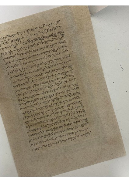 Vahşi Doğa Mücadelesi Adlı El Yapımı Minyatür Resim 21X12 cm