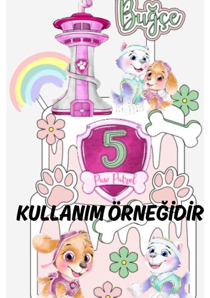 Süper Köpekler Temalı Kişiye Özel Kız Çocuk Doğum Günü Pasta Parti Süsü Seti fiyatları