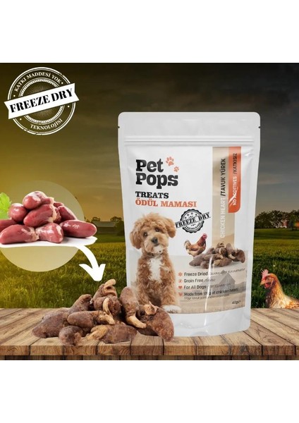 Freeze-Dried Tavuk Yüreği Köpek Ödülü 40 gr