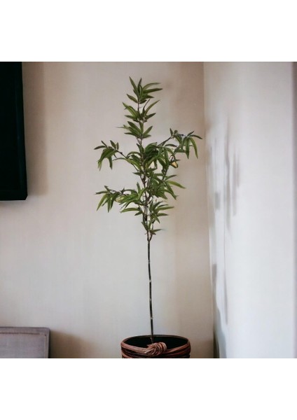 Dekoratif Yapay Bambu Dal 160 cm 1 Adet