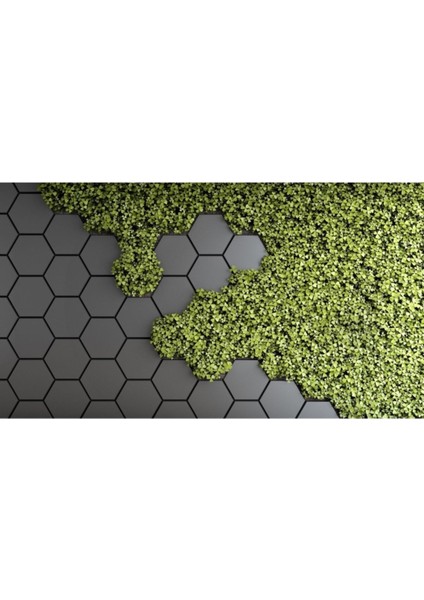 Geometrik Çimen Desen Duvar Kağıdı