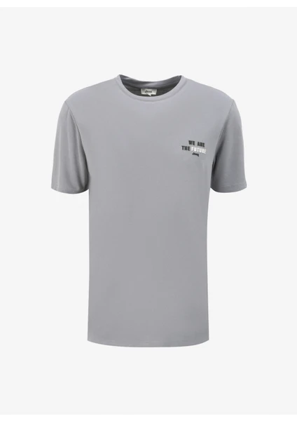 Gri Erkek Bisiklet Yaka Relaxed Baskılı T-Shirt C4SM-TST4609