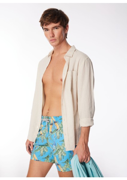 Çok Renkli Erkek Şort Mayo PBF4SM-SWM03